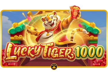 70bet8